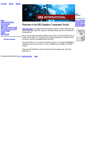 Mobile Screenshot of kesinternational.net